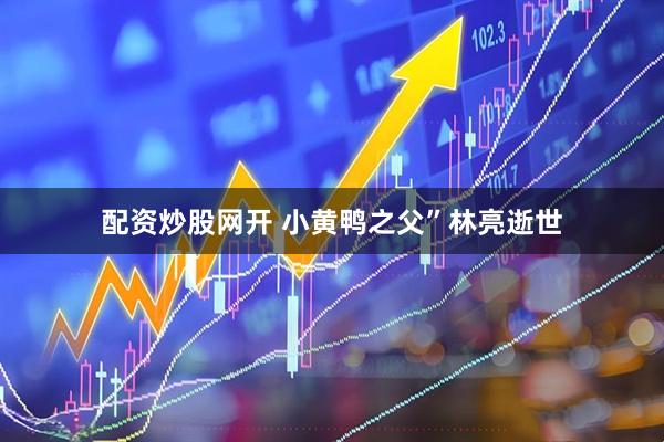 配资炒股网开 小黄鸭之父”林亮逝世