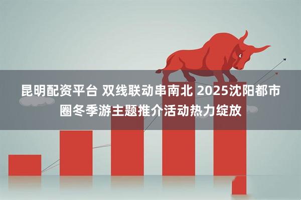 昆明配资平台 双线联动串南北 2025沈阳都市圈冬季游主题推介活动热力绽放